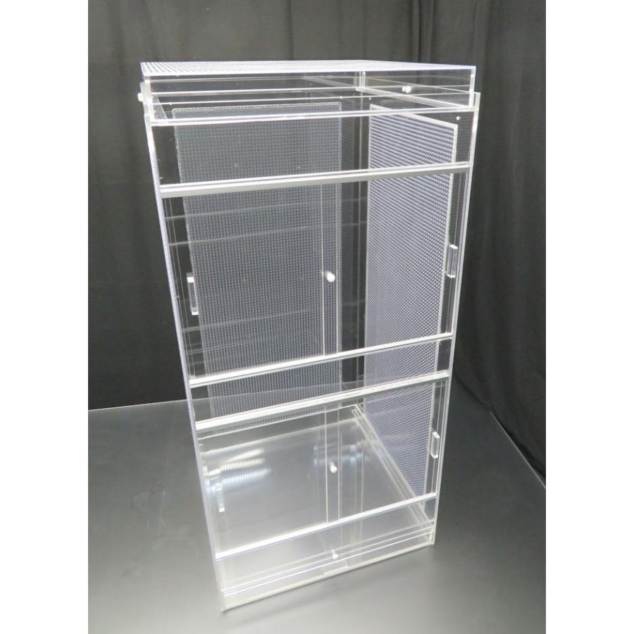 カメレオンゲージ ZOOMED カメレオンゲージ ZOOMED カメレオンゲージ