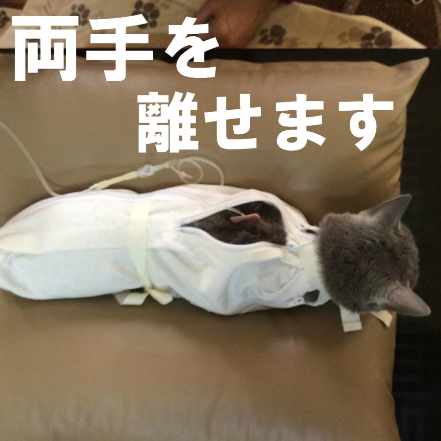 猫用 保定袋 6本 ファスナー Plus うちの子スペシャル 輸液 ネコ 採血