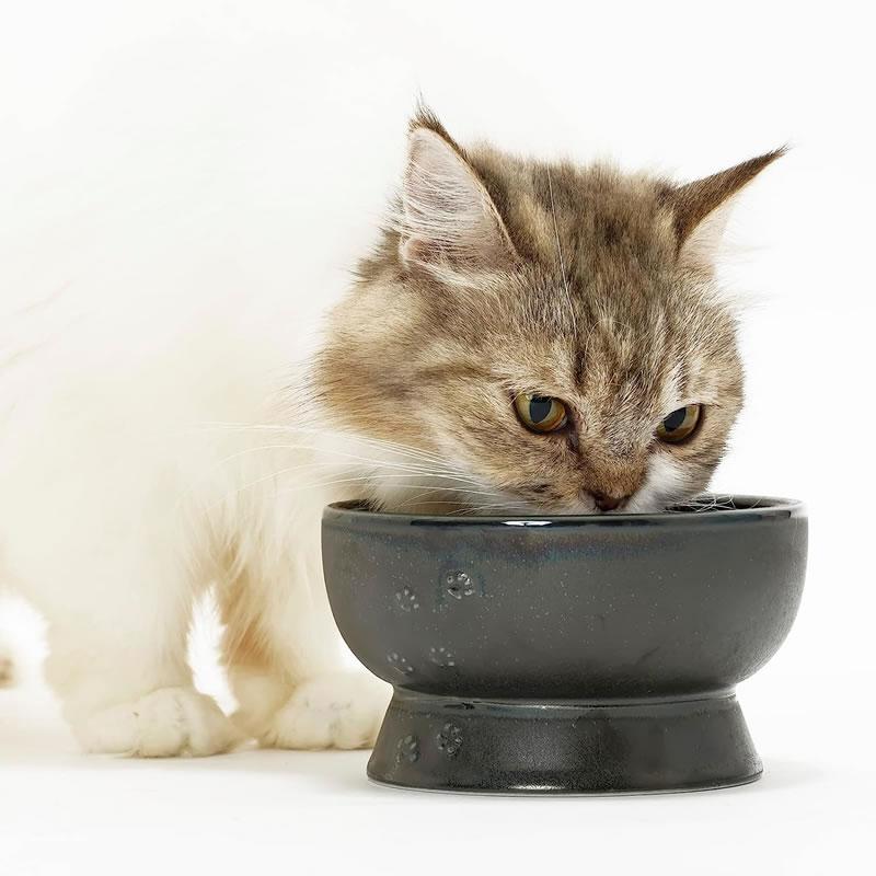 猫壱（necoichi） 美濃焼 脚付 ウォーター ボウル ブラック 猫用品