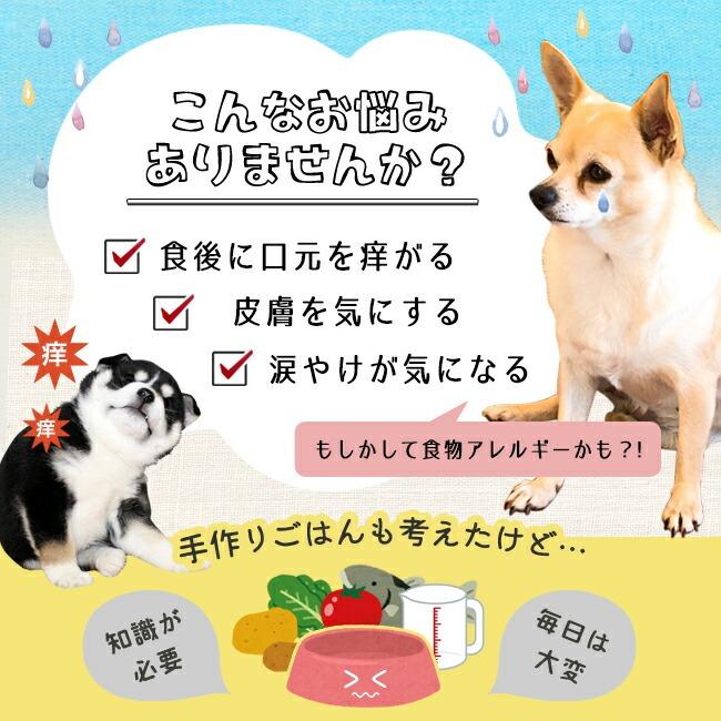 ネイティブドッグ ドッグフード プレミアムフィッシュ 低アレルゲン