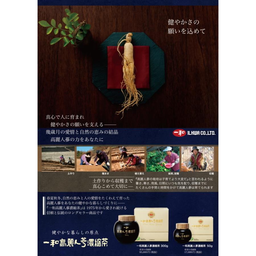 一和 高麗人参濃縮エキス300g 国内正規品 高麗人参茶 腸内環境 体力