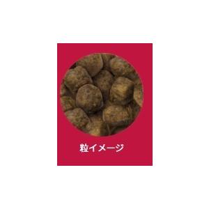 SELECT BALANCE セレクトバランス パピー ラム 小粒 子犬・母犬用 3Kg