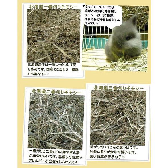 2/23まで) カナダ産 チモシー 120kg スーパープレミアム 1番刈 カナダ