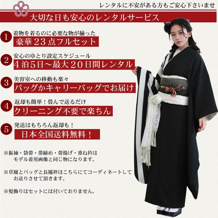 最大20日間レンタル 振袖 レンタル 成人式 黒 黒地ストライプ振袖24点