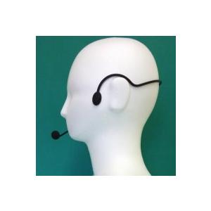 パワギガM NZ−691−W(定格15W、最大20W)ブラック、無線