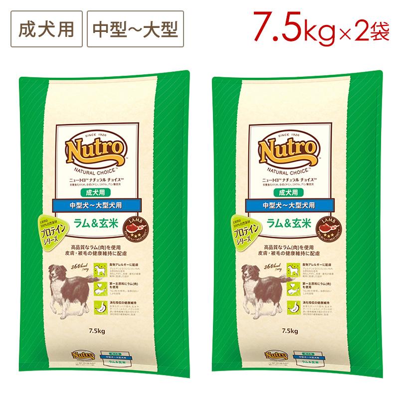 ナチュラルチョイス 2袋セット ニュートロ 中型犬〜大型犬用 成犬用
