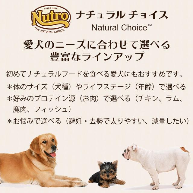 ナチュラルチョイス 2袋セット ニュートロ 中型犬〜大型犬用 成犬用