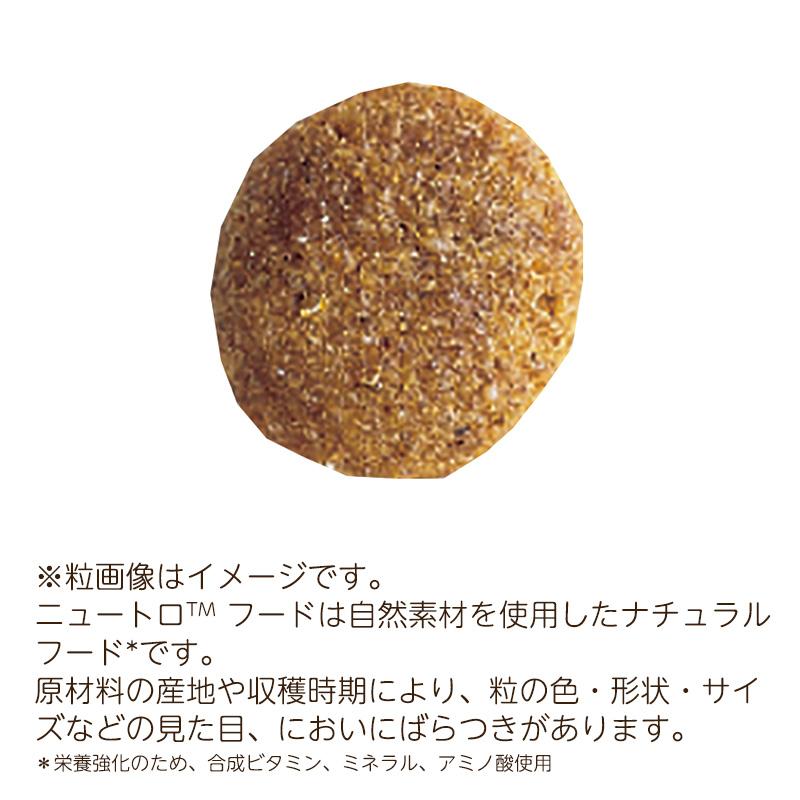 ナチュラルチョイス ニュートロ プレミアムチキン 子犬用 大型犬用