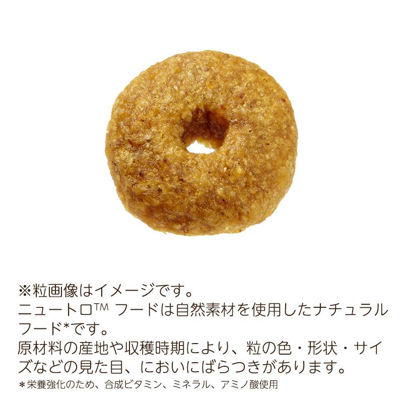 ナチュラルチョイス ニュートロ 中型犬〜大型犬用 エイジングケア