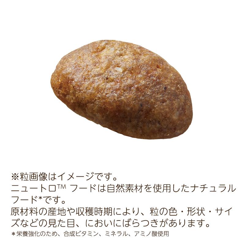 シュプレモ ニュートロ 小型犬用 成犬用 (小粒) [6kg] 正規品 NS109