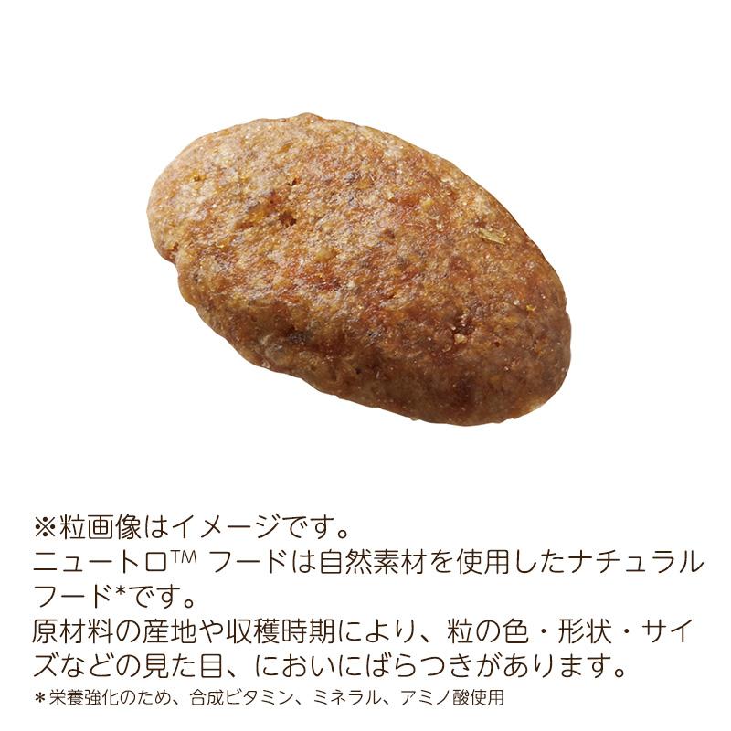 シュプレモ ニュートロ 超小型犬〜小型犬用 エイジングケア [3kg