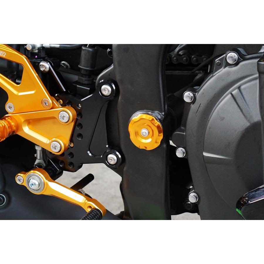 Ninja NINJA ZX-25R ZX-4R フレームホールキャップ 金 SNIPER