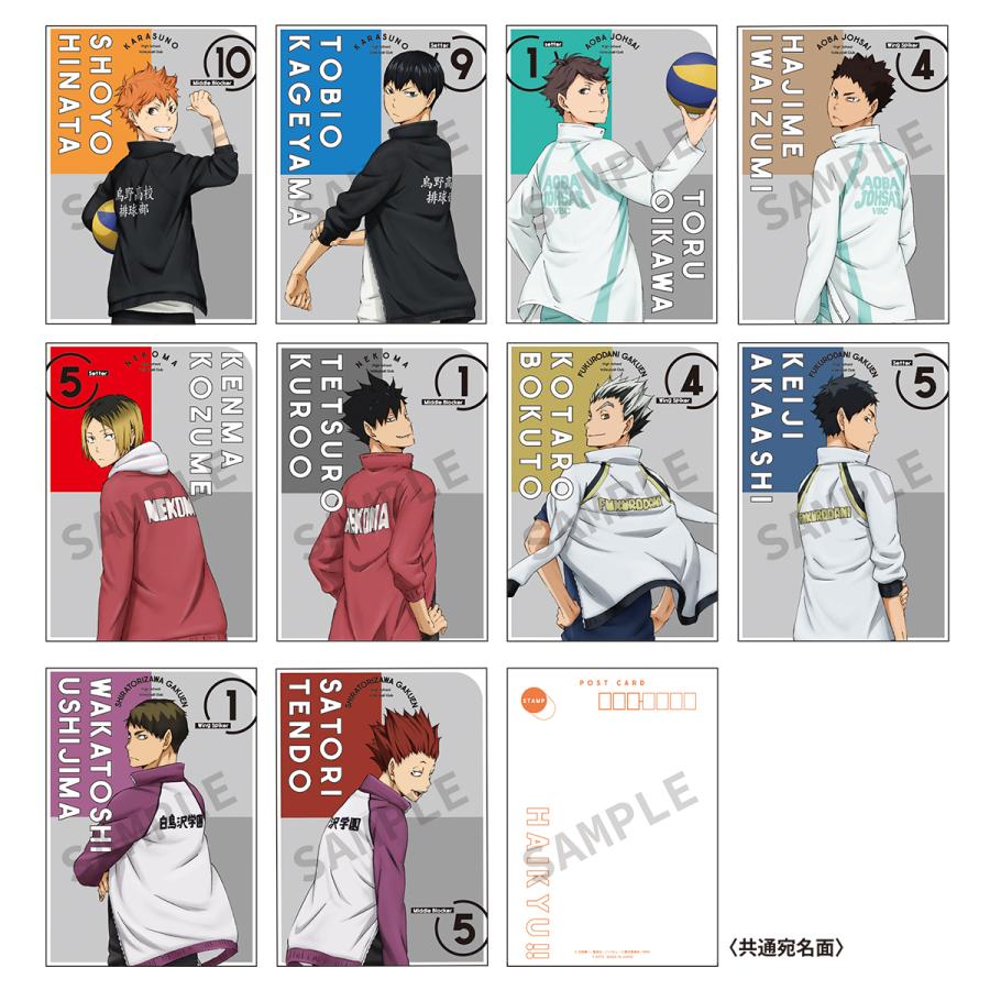 タカラトミーアーツ ハイキュー！！ A5ポストカードセット 振り向き