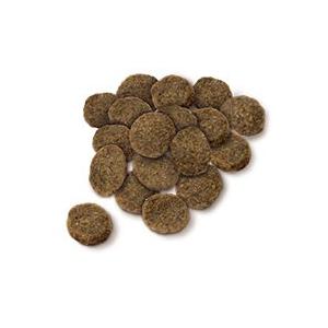 SELECT BALANCE セレクトバランス エイジングケア チキン 小粒 7kg