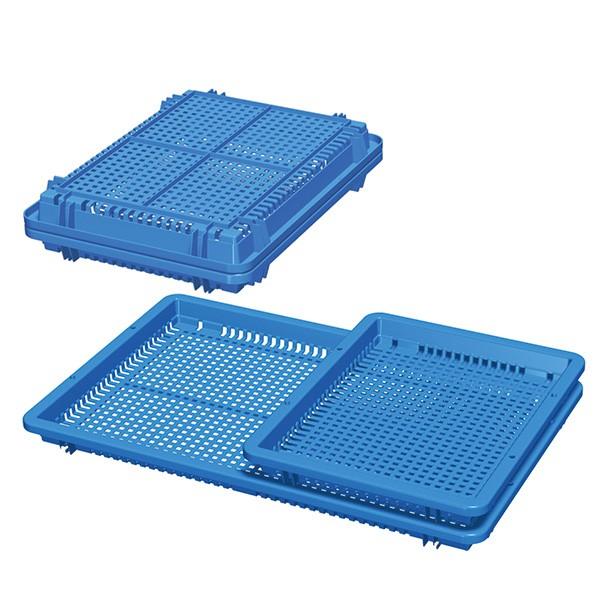 さびすけさん専用⭐︎ハワイアンアイランドティー 13箱セット⭐︎ さ