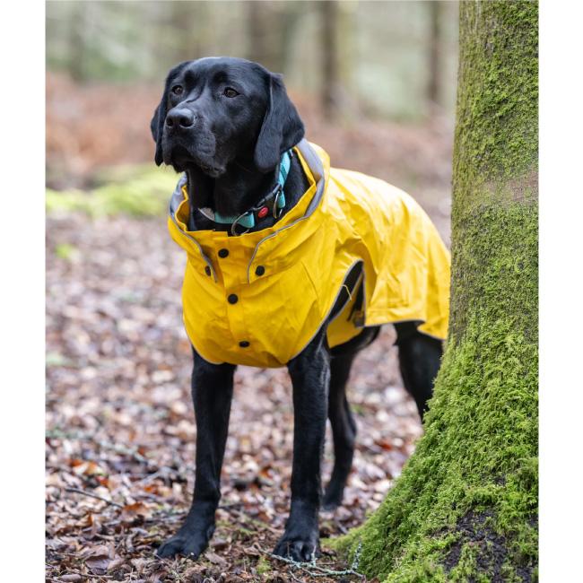 rukka pets ルッカペッツ STREAM RAINCOAT ストリームレインコート