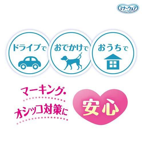マナーウェア 男の子用 SSS トラッドテイスト 犬用 おむつ ユニ