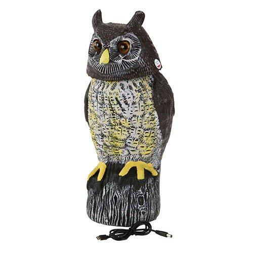 パヴェルスクドラーク作『ふくろう』 パヴェルスクドラーク作