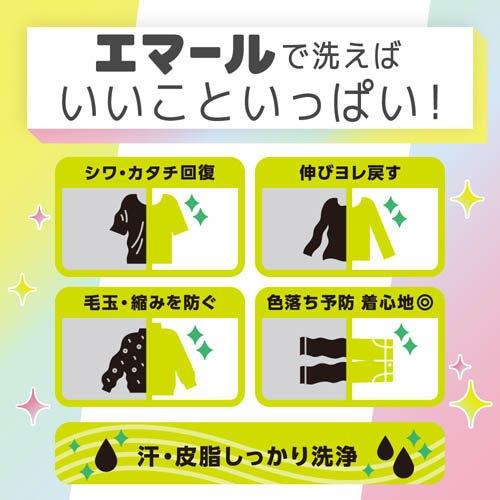 エマール リフレッシュグリーンの香りつめかえ用 梱販売用 ( 810g×15個