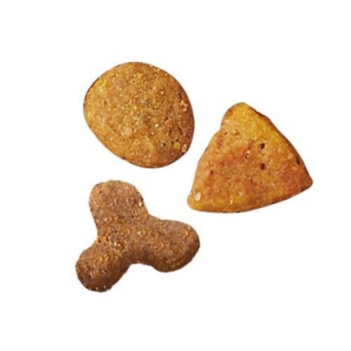 ピュリナワン キャット ドライ 室内飼い猫用 1歳以上 サーモン＆ツナ