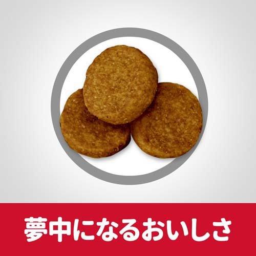 ドッグフード シニア 大型犬用 6歳以上 チキン 高齢犬 大容量 大袋