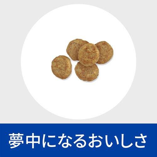 w/d 小粒 チキン 消化/体重/糖尿病管理 犬用 特別療法食 ドッグフード