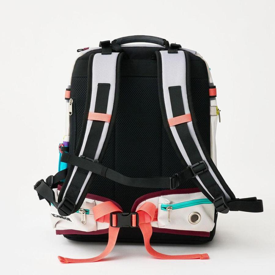 値下げ中).iCANDOR リュック型キャリーバッグ 別売り付属品付 海外犬服