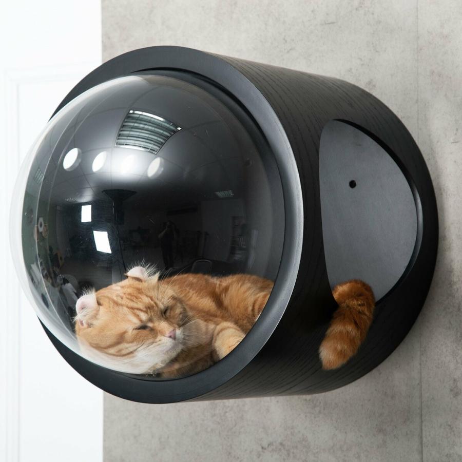 MYZOO マイズー 宇宙船GAMMA キャットハウス 木製 ドーム 壁 ペット