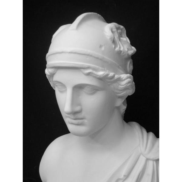 K−125 アマゾン胸像（ローマ） : 石膏像ドットコム - 通販