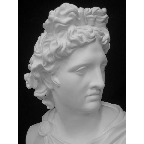 K−127 アポロ胸像 : 石膏像ドットコム - 通販 - Yahoo!ショッピング