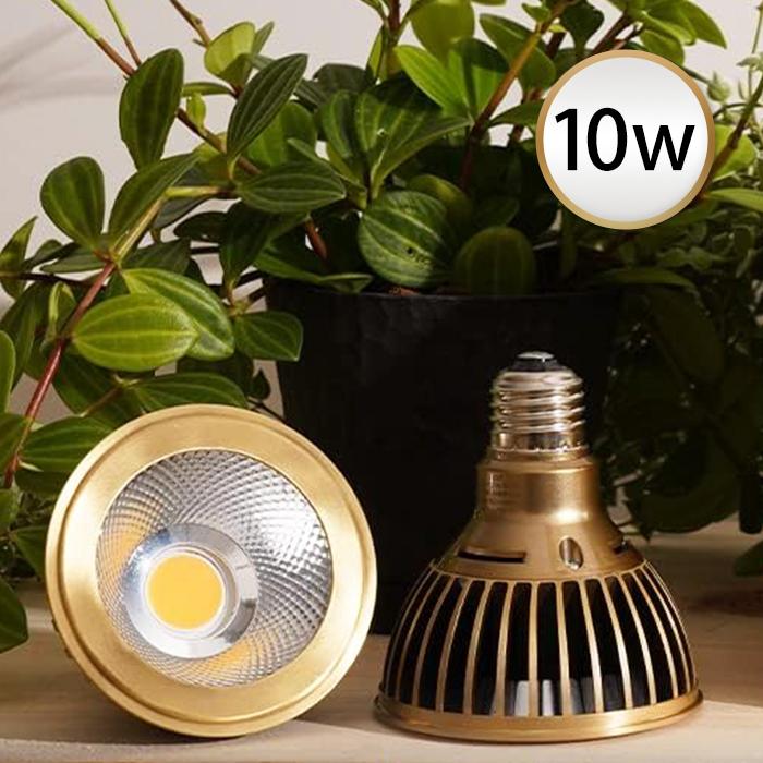 BARREL TSKUYOMI ツクヨミ 10W AKADAMACHAN アカダマちゃんモデル 植物