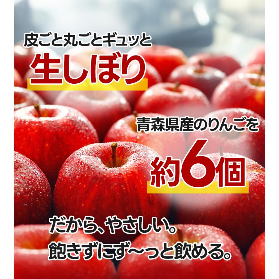 青森 りんごジュース 100%ストレート果汁 1000g×6本セット 林檎園 国産