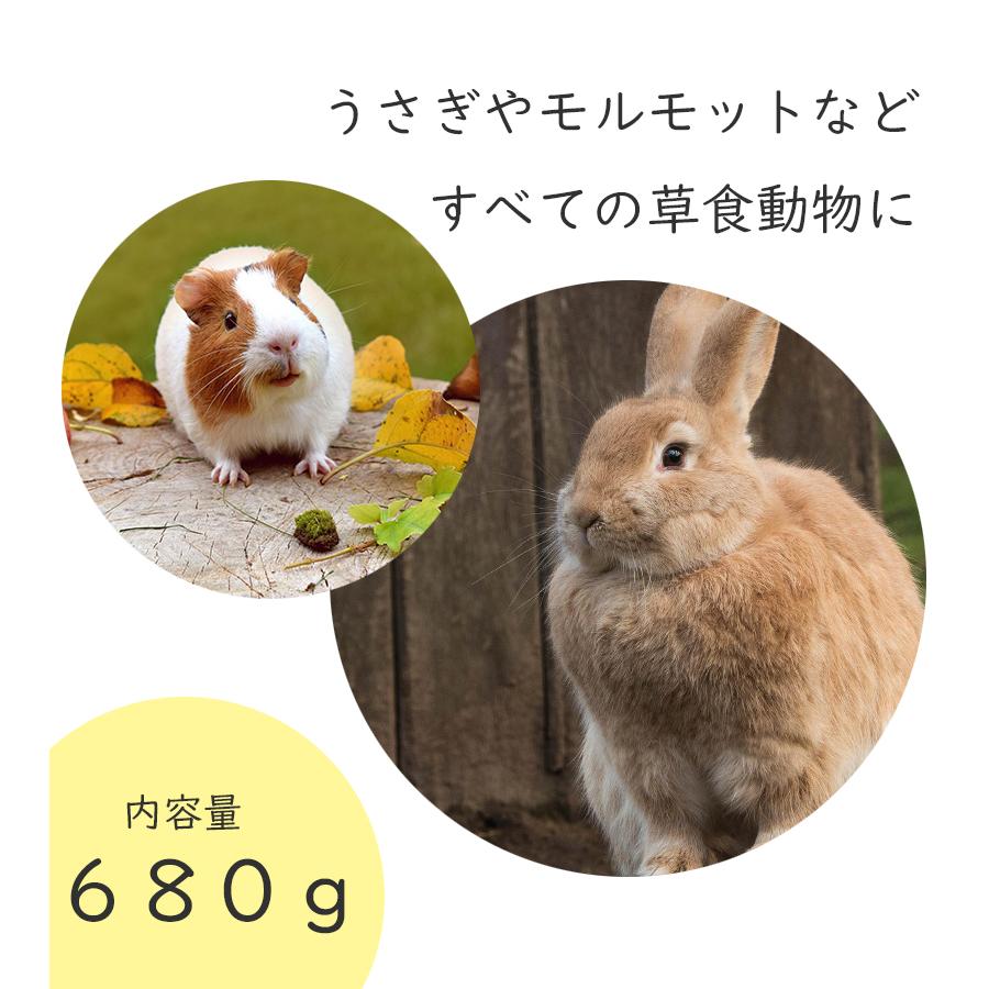 アメリカンペットダイナー チモシーゴールド2番刈り 680g 小動物用