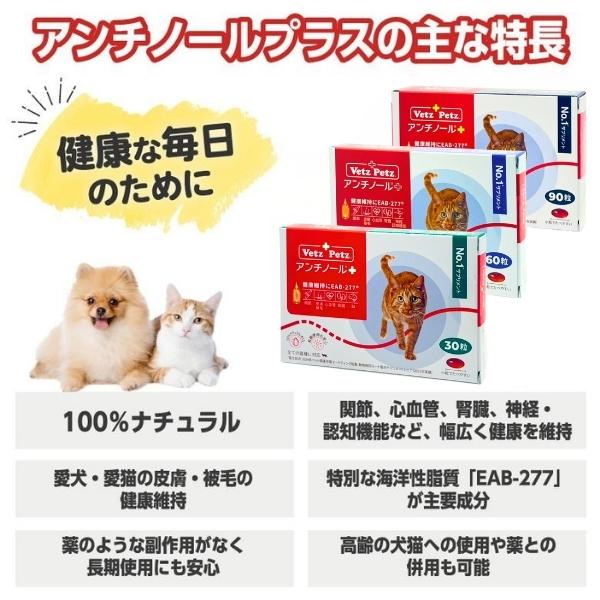 アンチノール プラス 猫用サプリメント 90粒 : セラフィーネット Yahoo