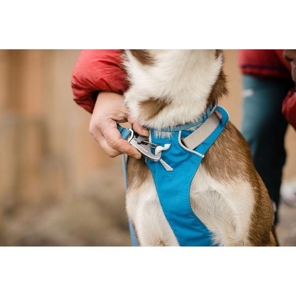 RUFFWEAR（ラフウェア）フラッグ ラインハーネス : ドッググッズ