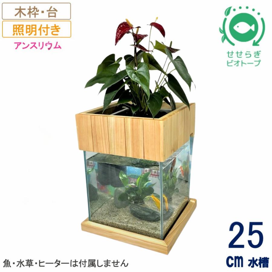 送料無料】25cm型 基本セット(グレー)＋木枠台＋照明あり / [TVで紹介