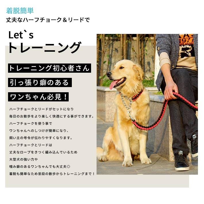 ハーフチョーク ＋ リードセット 大型犬 首輪「全4色」Lサイズ 丈夫な