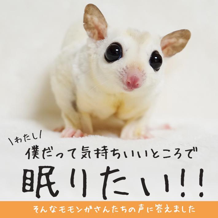 モモンガ 寝袋ポーチ 大サイズ「全2色」洗える 可愛い 吊りハウス