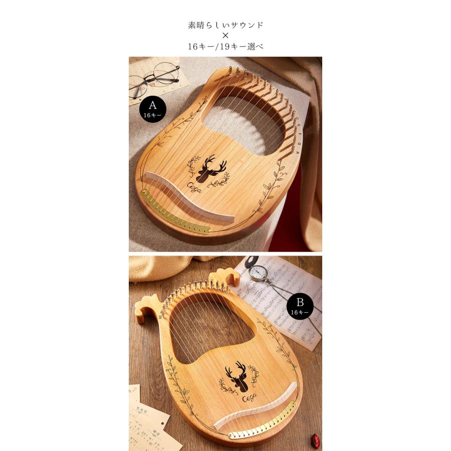 ライアー ハープ 16弦 19弦 木製竪琴 初心者 セット 入門楽器 指弾き