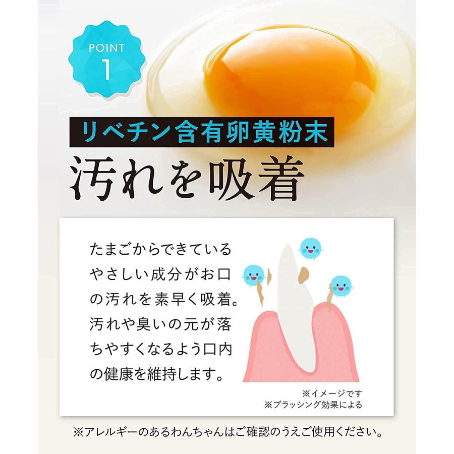 公式ショップ ドクターデンタルワン 犬 歯磨き 歯ブラシ 犬歯磨き 歯石