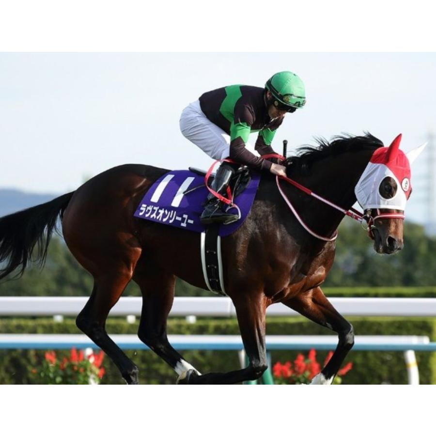 限定】ラヴズオンリーユーウマ娘アイドルホースオークス競馬ぬいぐるみ