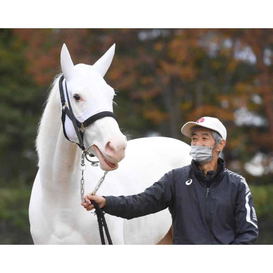 ソダシ（メイクデビュー函館Ver！） Mサイズ アイドルホース 競馬