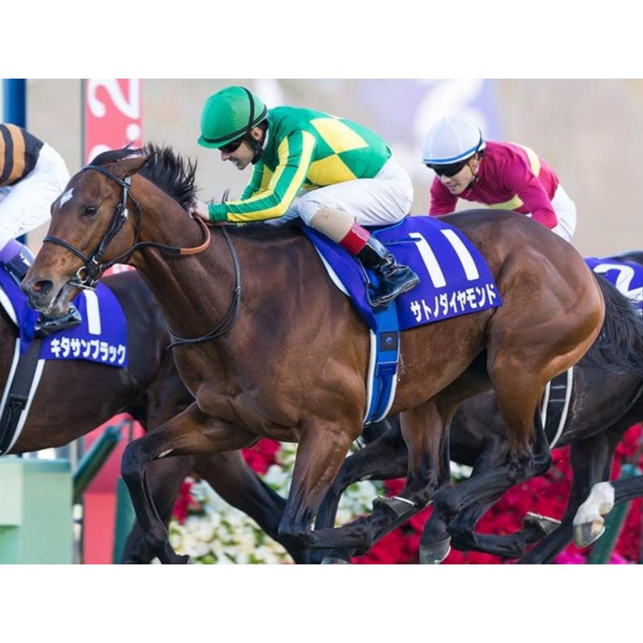 サトノダイヤモンド ぬいぐるみ Mサイズ 競馬 アイドルホース 第61回