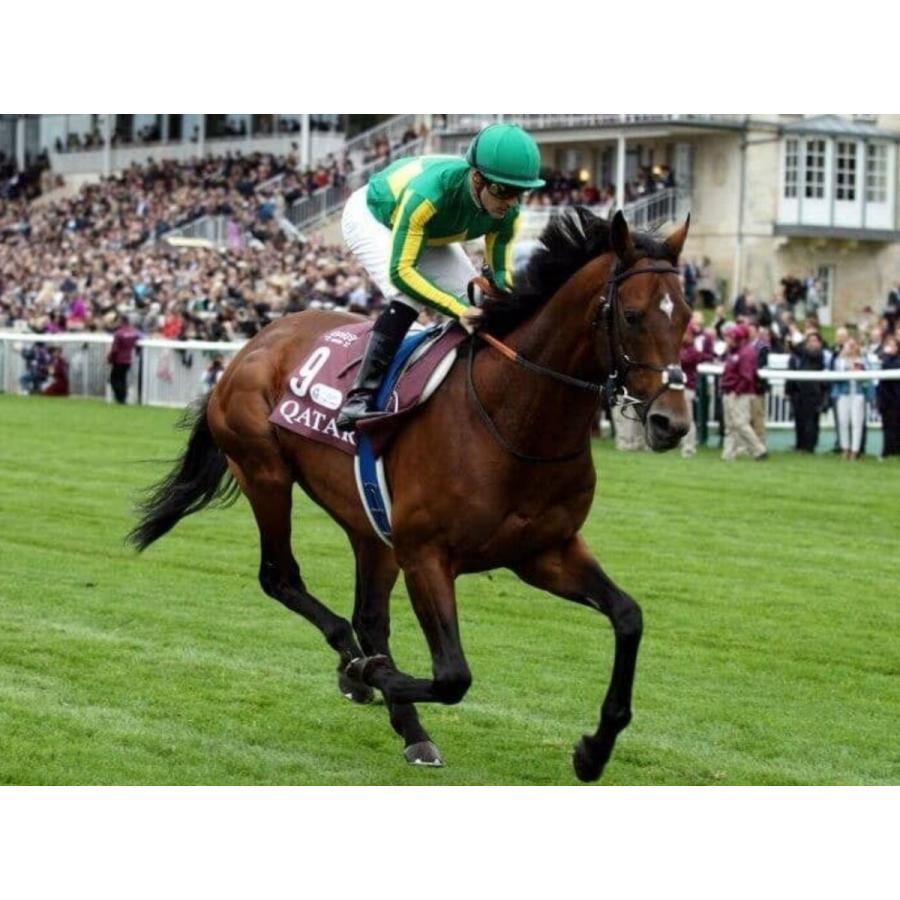 稀少品】サトノダイヤモンド 競馬 ぬいぐるみ ウマ娘 アイドルホース