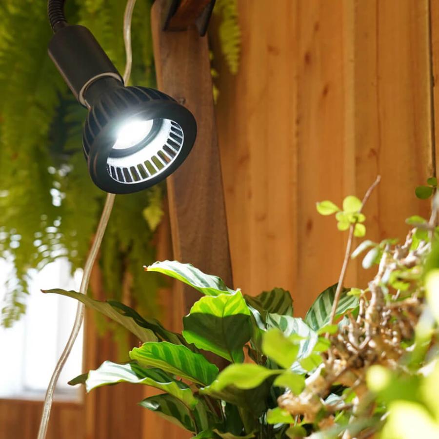 アマテラス 【LED 10W】 植物育成ライト BARREL 水槽用照明