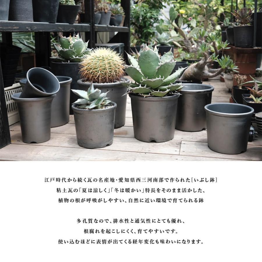 SMOKED POT【 菊鉢 】6号 Φ19.5cm×H17cm 陶器 植木鉢 いぶし鉢 燻し焼