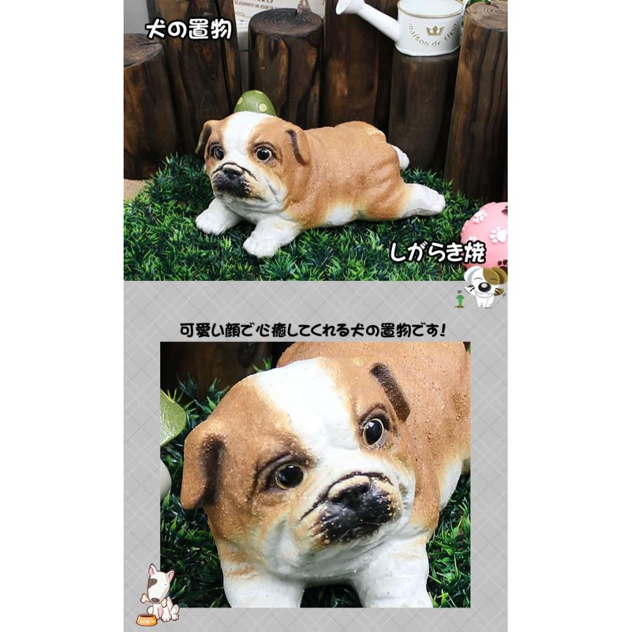 信楽焼 ブルドック仔犬 ひょうきんな陶器イヌ 。犬置物 ブルドッグ