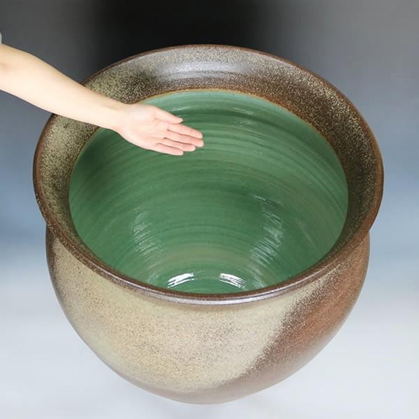 信楽焼 睡蓮鉢 メダカ鉢 おしゃれ めだか鉢 陶器 水鉢 ビオトープ