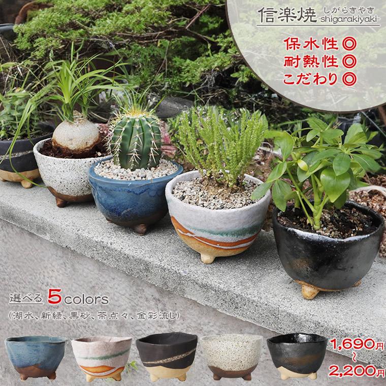信楽焼 植木鉢 陶器 おしゃれ 山草鉢 フラワーポット サボテン鉢 多肉