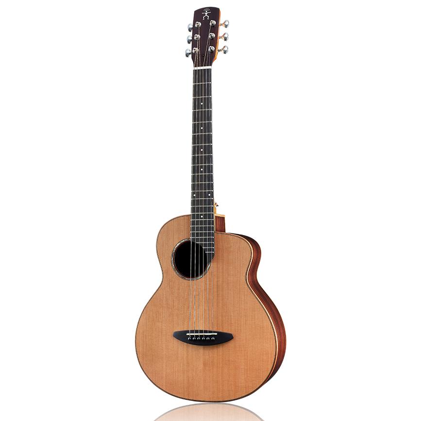 aNueNue （アヌエヌエ） M60 ギター杉田健二監修ミニギター aNueNue